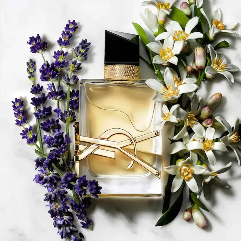 عطر ایو سن لوران لیبر 2 ادکلن ایو سن لوران لیبر