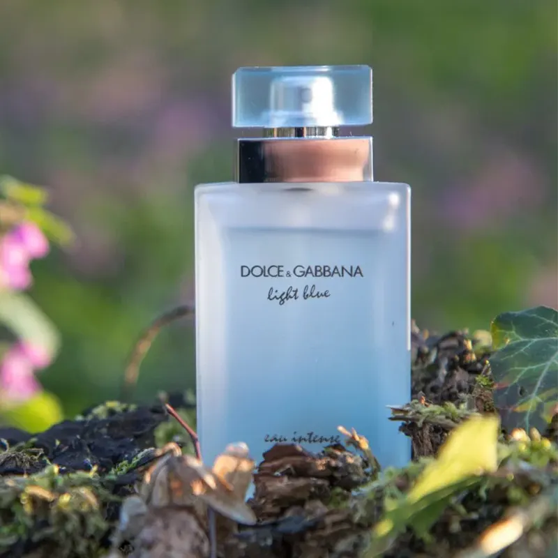 عطر دولچه گابانا لایت بلو اینتنس زنانه 3 ادکلن دولچه گابانا لایت بلو اینتنس زنانه اورجینال